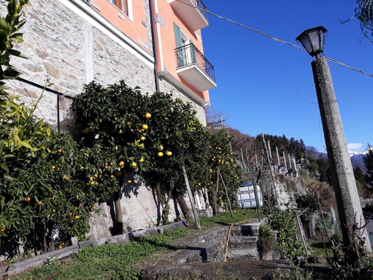Casa Ai Castelli Lejlighed Cannobio Eksteriør billede