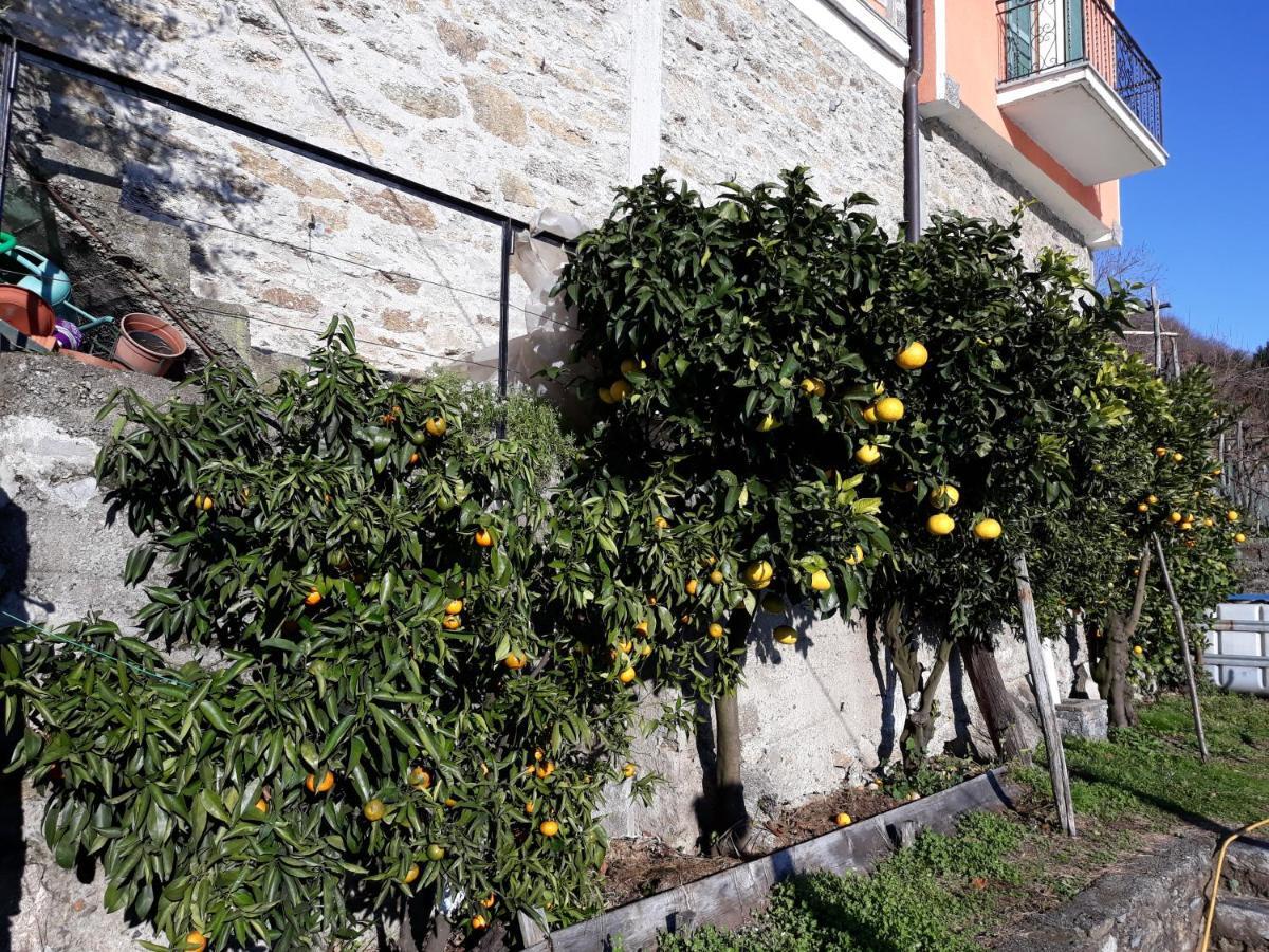 Casa Ai Castelli Lejlighed Cannobio Eksteriør billede